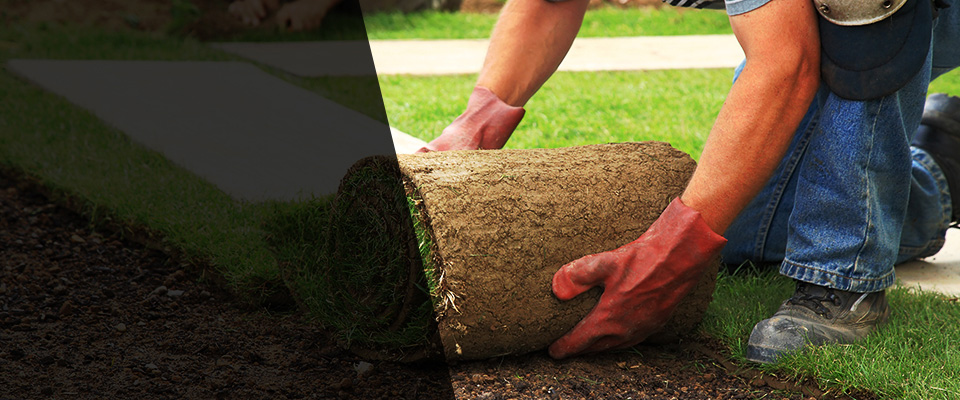 North Dartmouth Landscapers